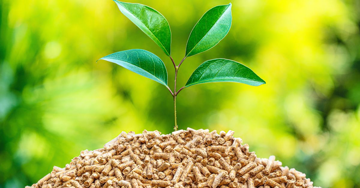 Bæredygtige træpiller med plante